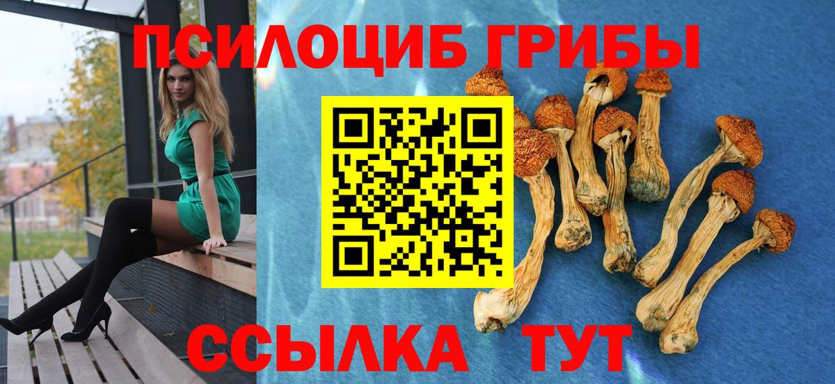 Псилоцибиновые грибы ЛСД Нижнекамск